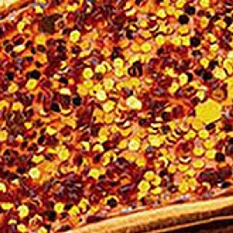 Ferdy Flip Flop Sandals