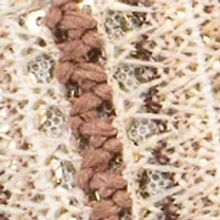 Cyana Flip Flop Thong Sandals