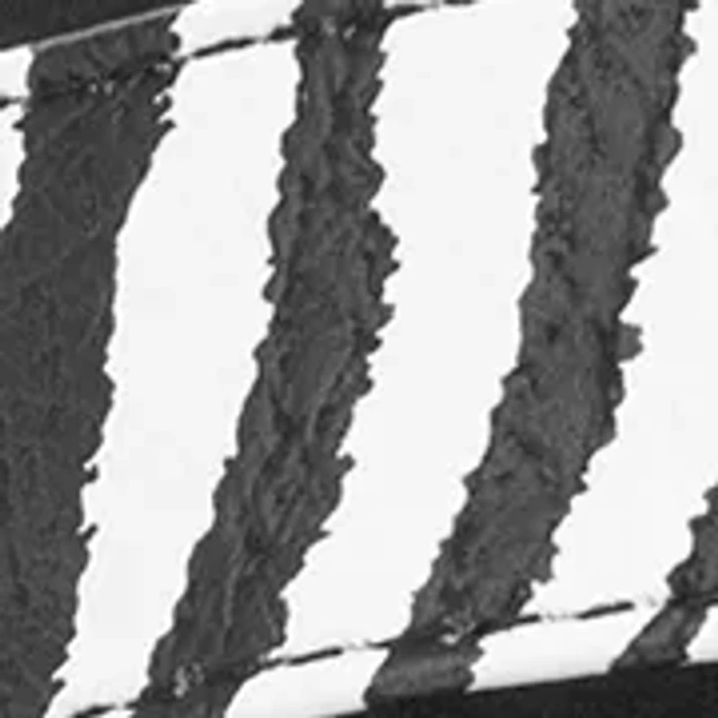 Lynden Flip Flop Thong Sandals