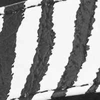 Lynden Flip Flop Thong Sandals