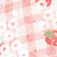 Barbera Flip Flop Thong Sandals