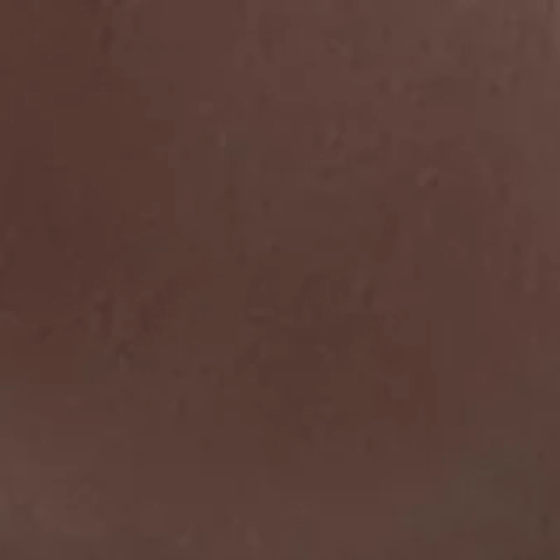 Holly Moc Toe Penny Loafers