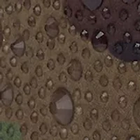 Evgena 2 Dress Booties