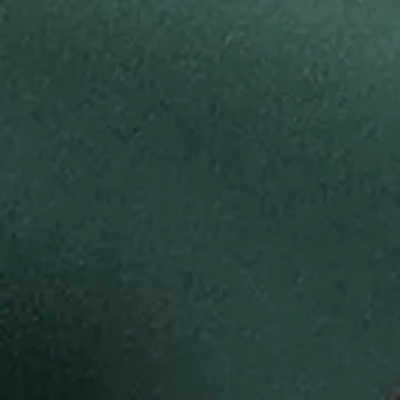 Olivine2 Bow Stiletto Heels