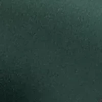 Olivine2 Bow Stiletto Heels