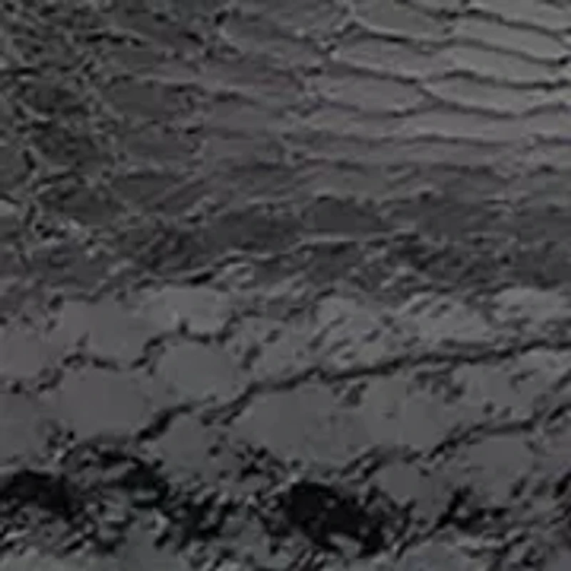 Sinelia Stiletto Heels