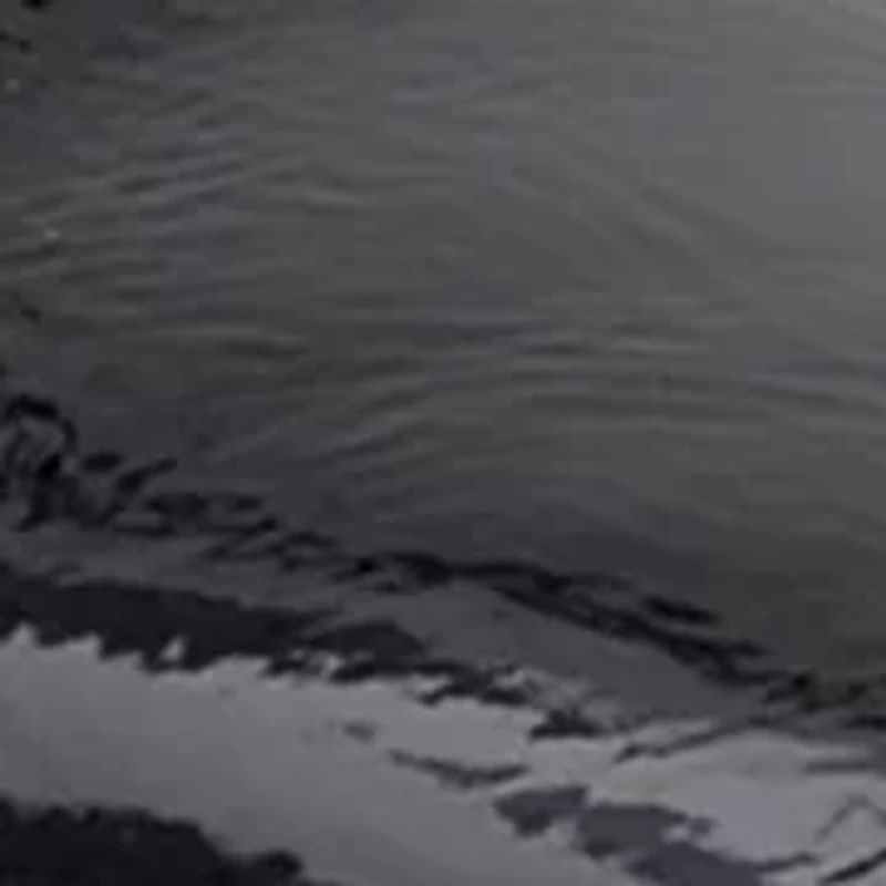 Soltiea Ankle Strap Pumps