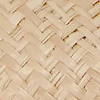 Lolah II Mesh & Nappa Slingback Pump