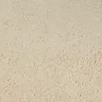 Lanette Suede Block Heel Pumps