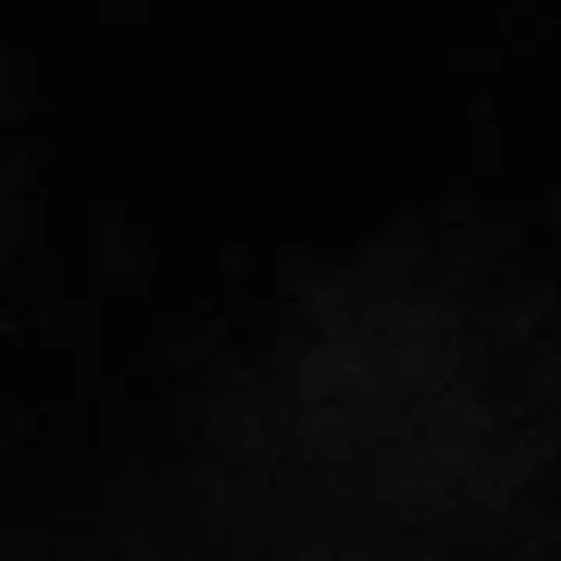 Corah Embroidered-Logo Velvet Pumps