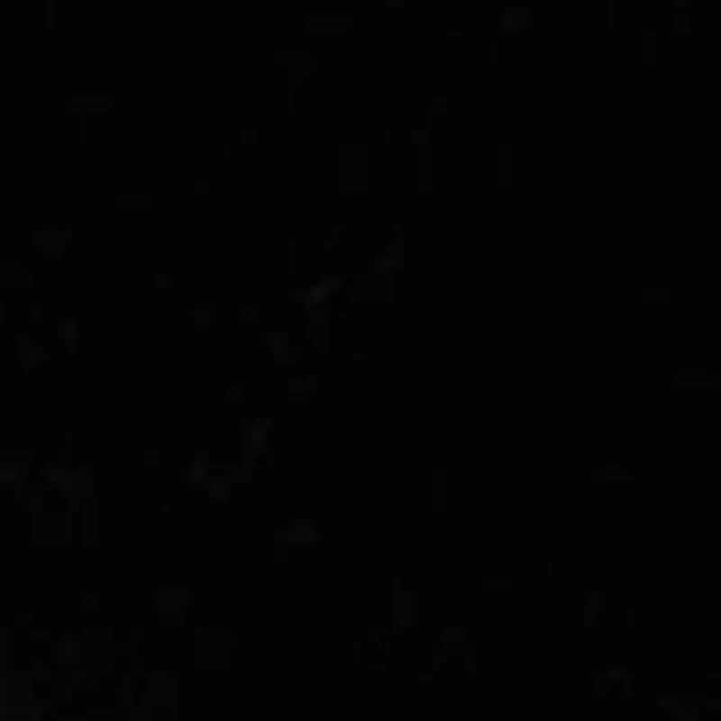 Emellie Logo Velvet Ballet Flats