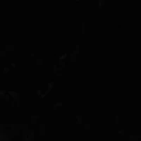 Emellie Logo Velvet Ballet Flats