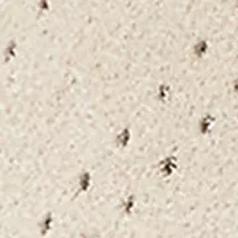 Dani Perforated Suede Sneakers