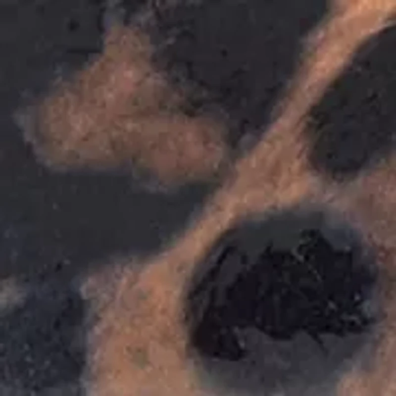 Hamden Slingback Heels