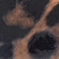 Hamden Slingback Heels