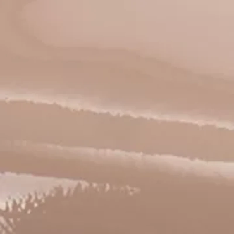 Kehlia Pointed Toe Heels