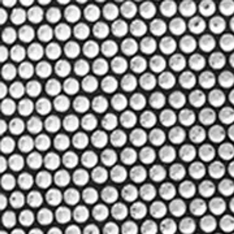 Women's Selina Heeled Booties