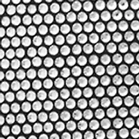 Women's Selina Heeled Booties