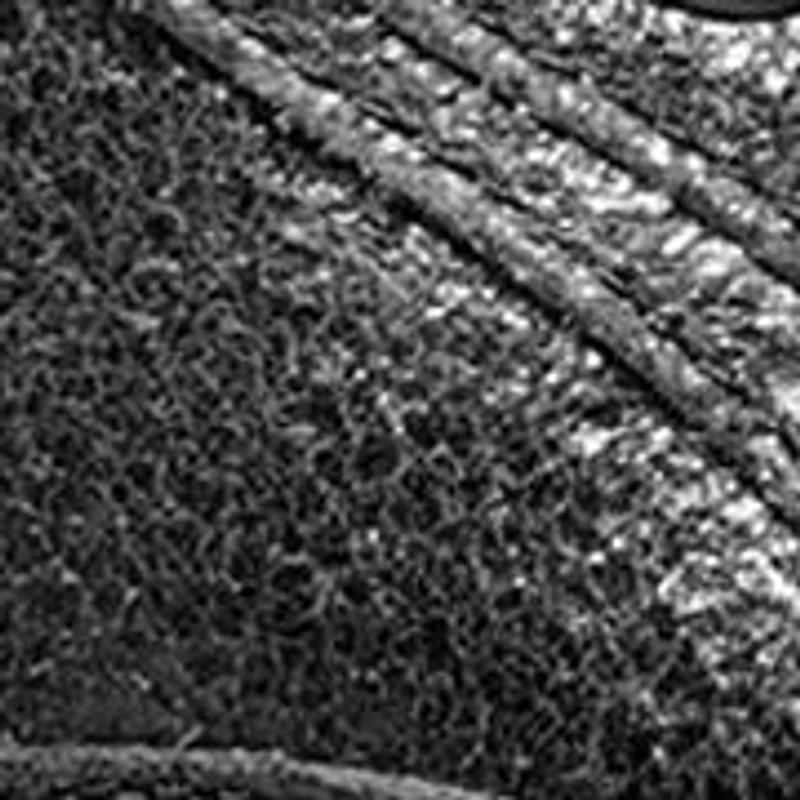 Women's Toni Trainer Sneakers