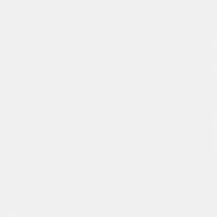 Dottie Lace Up Sneakers