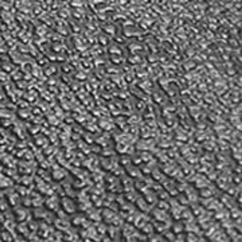 Women's Keaton Slip On Sneakers