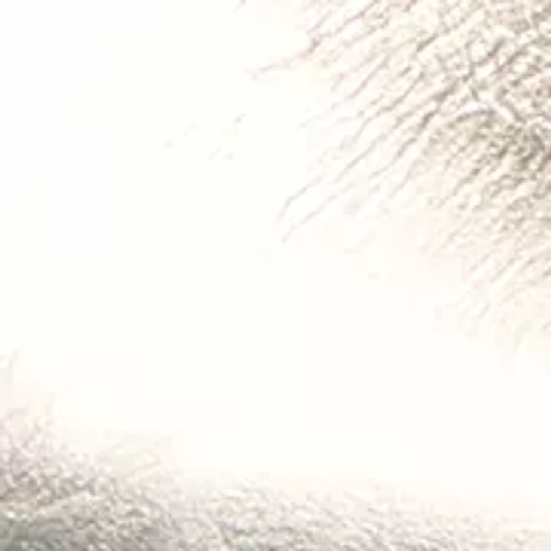 Alenna Slingbacks Kitten Heels