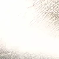 Alenna Slingbacks Kitten Heels