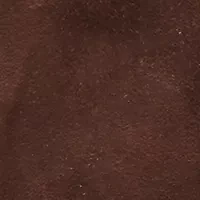Ariana Boots