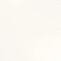 Cabriah Wedge Sandals