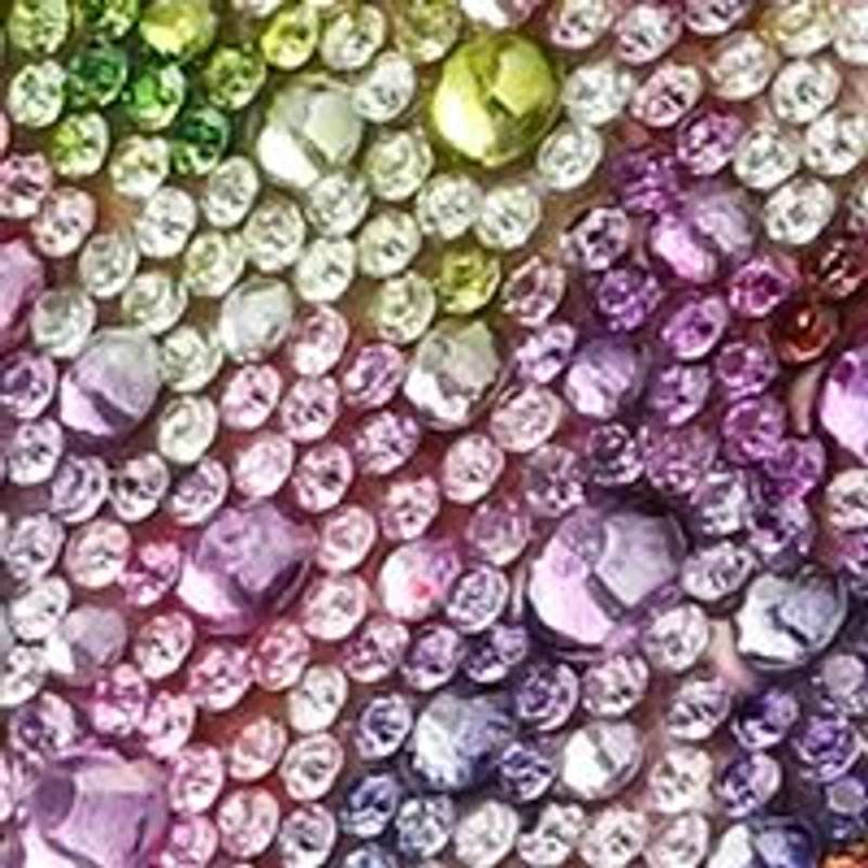 Sidny Novelty Rhinestone Sneakers