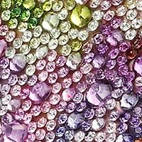 Sidny Novelty Rhinestone Sneakers