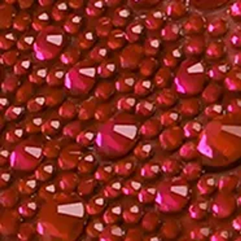 Sidny Rhinestone Sneakers