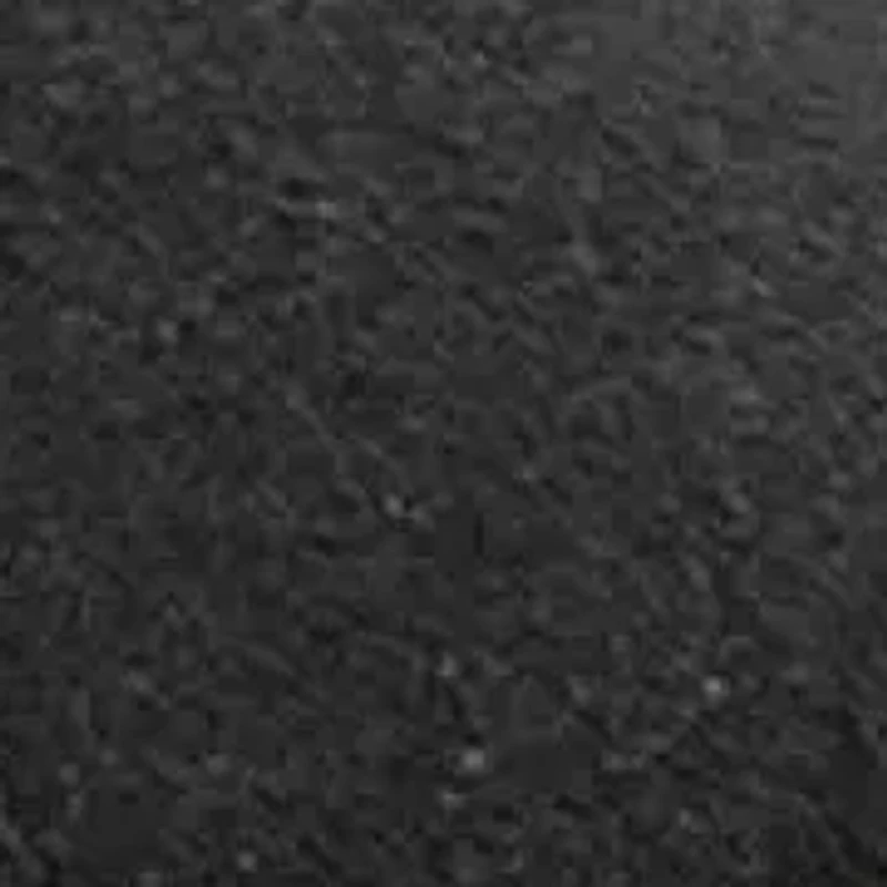 Dion Casual Sneakers