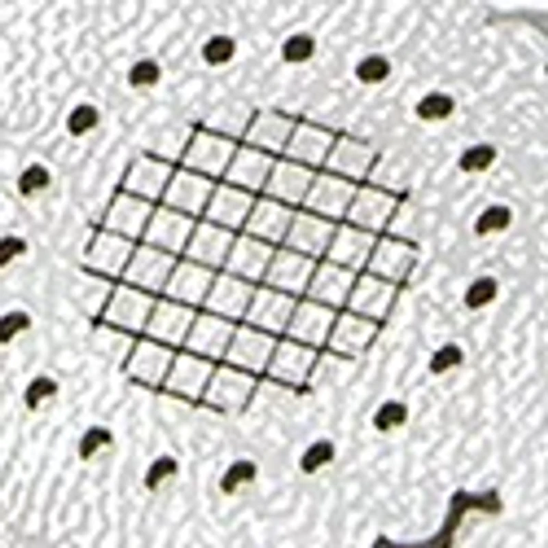 Anne Mary Jane Flats