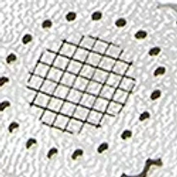 Anne Mary Jane Flats