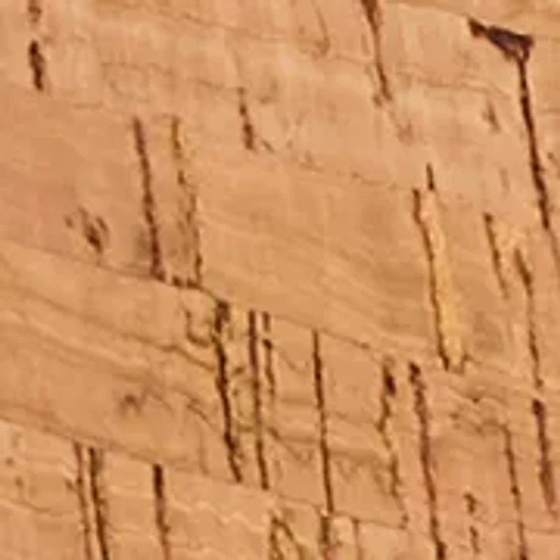 Jacks Cork & Leather Mid Wedge Thong Sandals