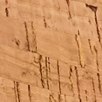 Jacks Cork & Leather Mid Wedge Thong Sandals