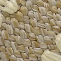 Kabi Wedge Heel Sandals