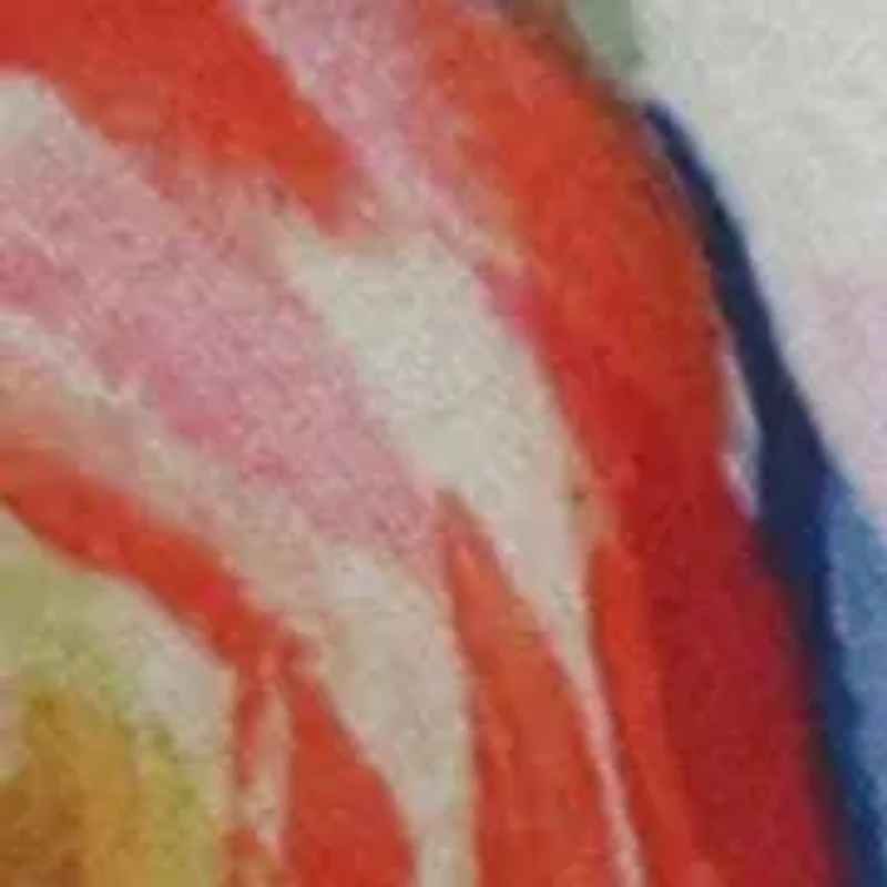 Showcase Wedge Heel Sandals