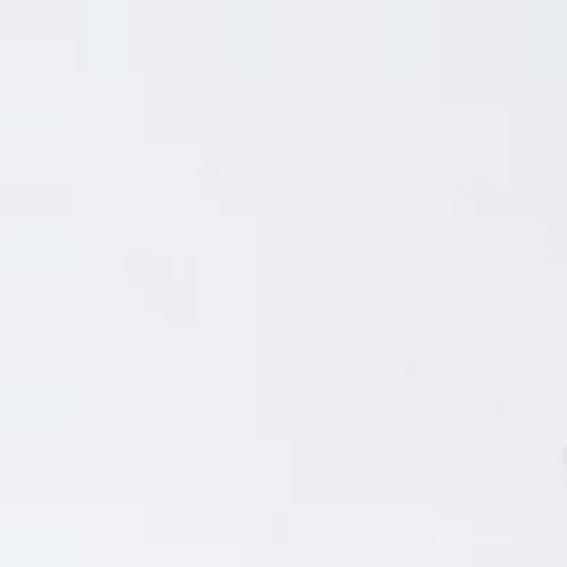 Dallas Lace Up Sneakers