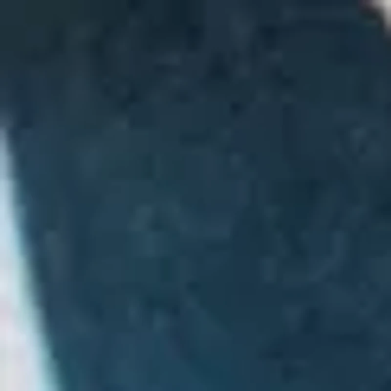 Dallas Lace Up Sneakers