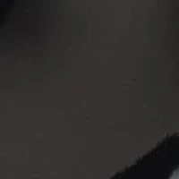 Jezibee Women's Block Heel Dress Slingback