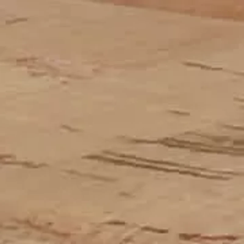 Vela Women's Flat Thong Sandal