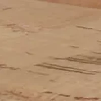 Vela Women's Flat Thong Sandal