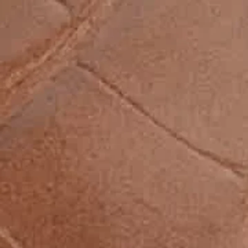 Lenian Women's Flat Thong Sandal