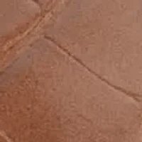 Lenian Women's Flat Thong Sandal