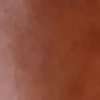 Wings Up Knee-High Boots