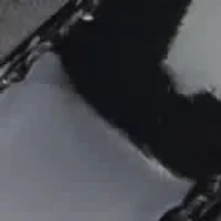 Salla Slingback Kitten Heel Dress Sandals