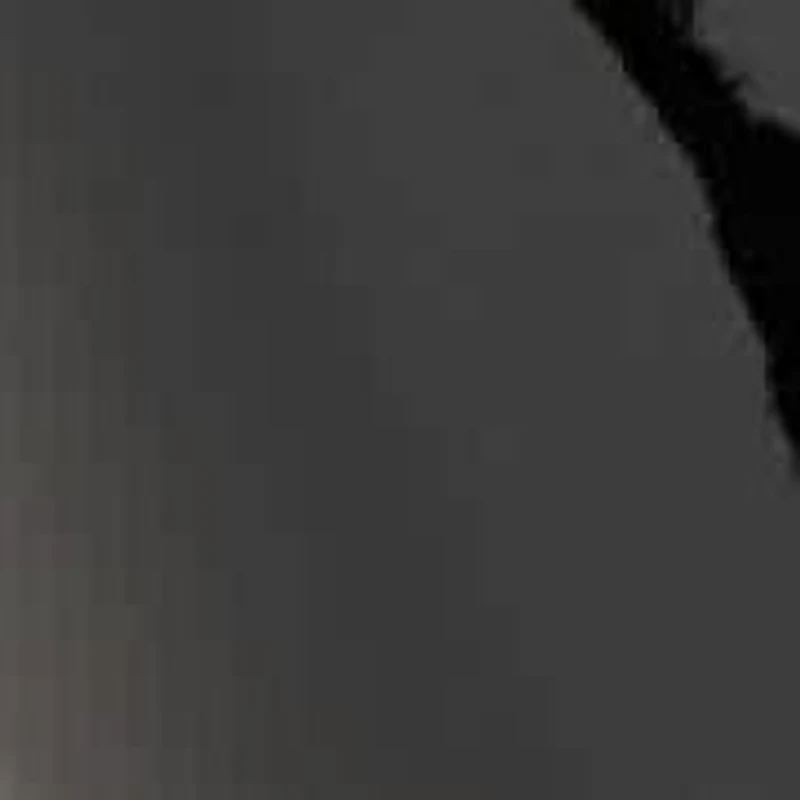 Paza Round Toe Slingback Dress Sandals