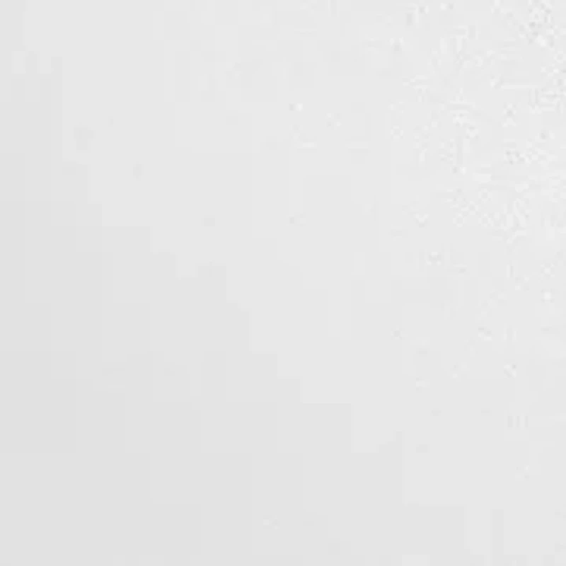 Delicat Mesh Bow Sandals